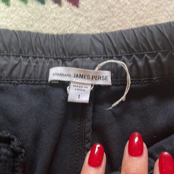 James Perse Super Soft Twill Pants - Picture 8 of 11